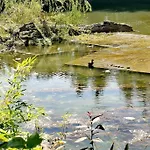 Moulin De Monpoisson *